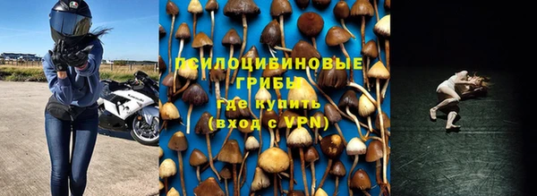 герыч Балахна