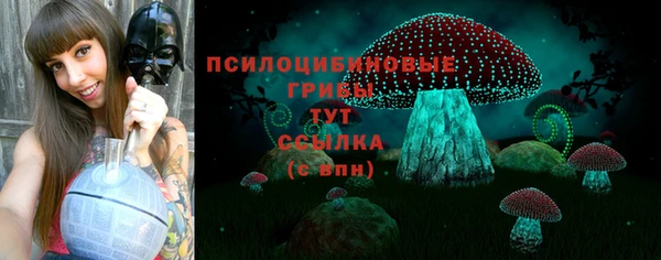 apvp Балабаново