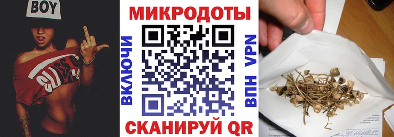 Галлюциногенные грибы GOLDEN TEACHER  купить  цена  Белогорск 